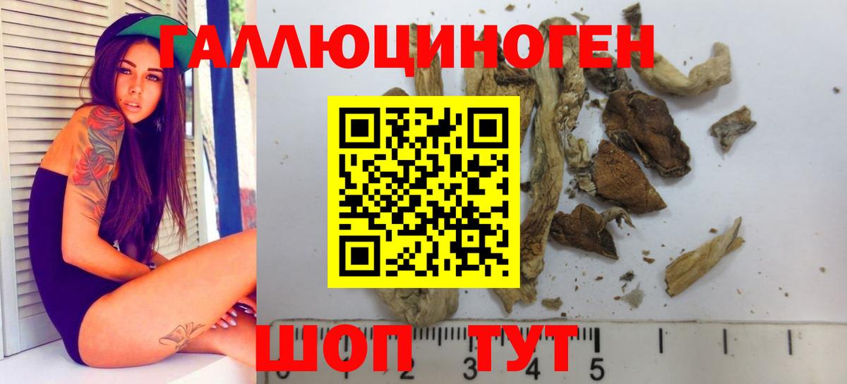 Псилоцибиновые грибы Psilocybine cubensis  даркнет сайт  Волгодонск  Вход с VPN 